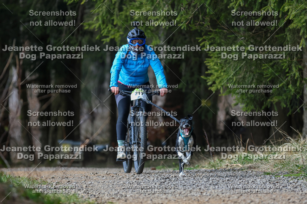 Dog Paparazzi - VCC26-249 | Dog Paparazzi Jeanette Grottendiek Fotografie & Videografie - Realisiert mit Pictrs.com