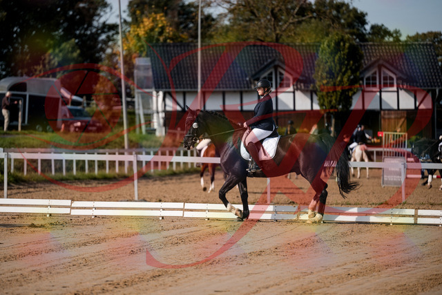 2026_10_03_Siefer-Hof_113331_Z63_19814237 | Professionelle Reitsport-, Turnier- und Eventfotografie von Robert Broda. Galerien mit ausgewählten und bearbeiteten Bildern direkt online ansehen und bestellen.