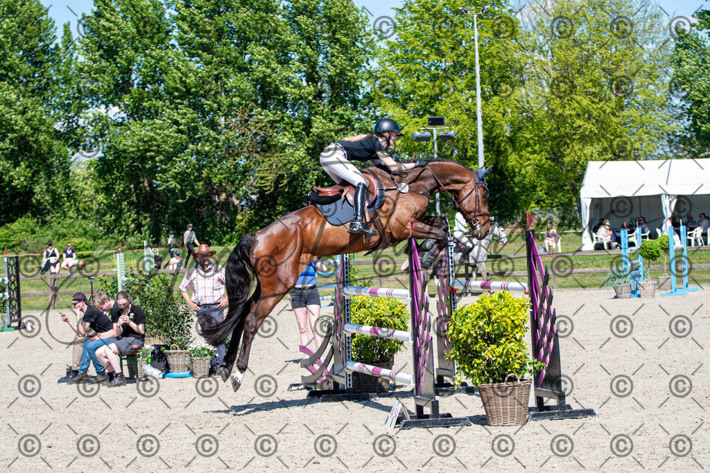 KPT_1287 | andre_photographic