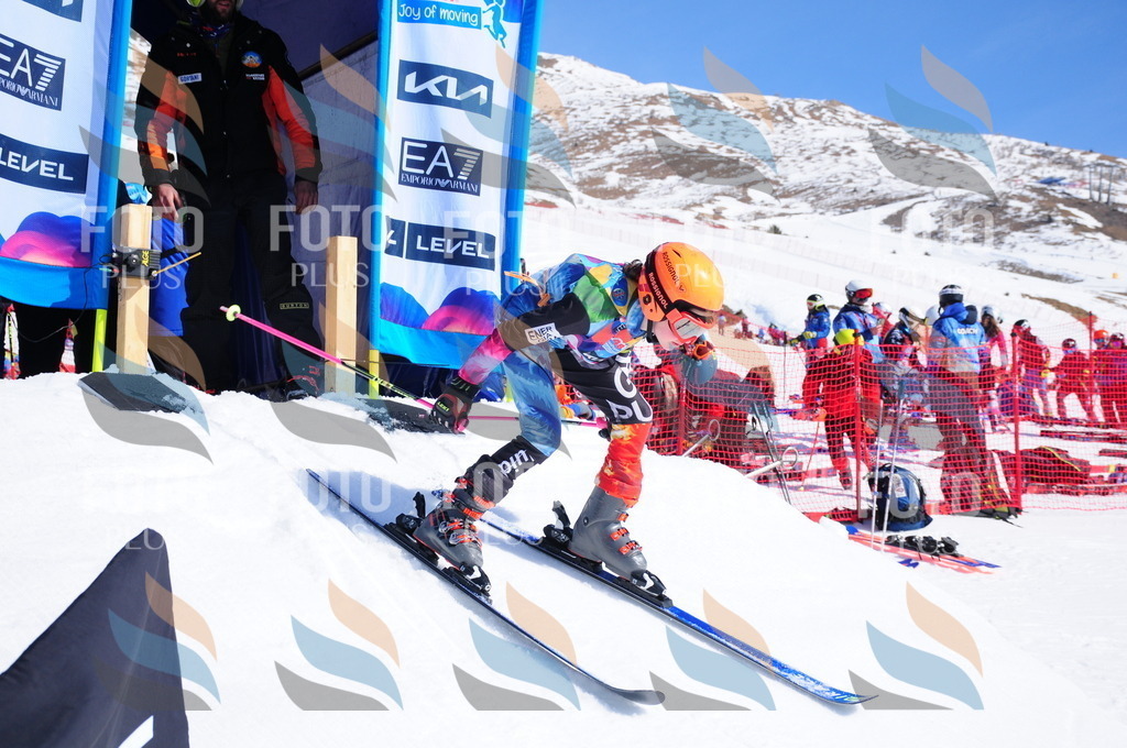 DSC_4317 | holidayphoto