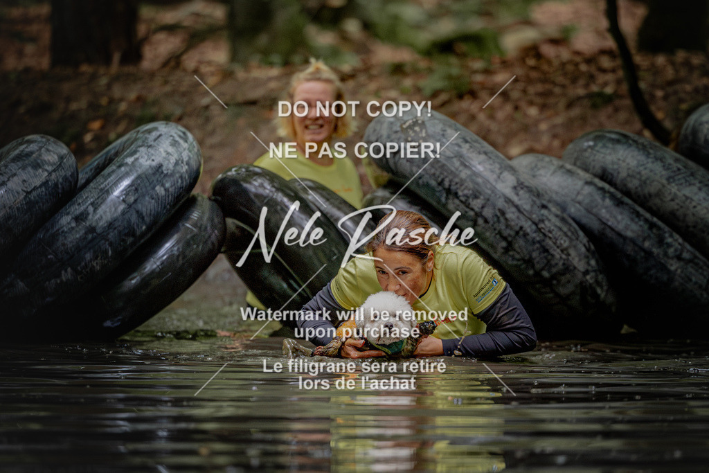 nelerasche_SaWingst1200-1230_195 | nelerasche