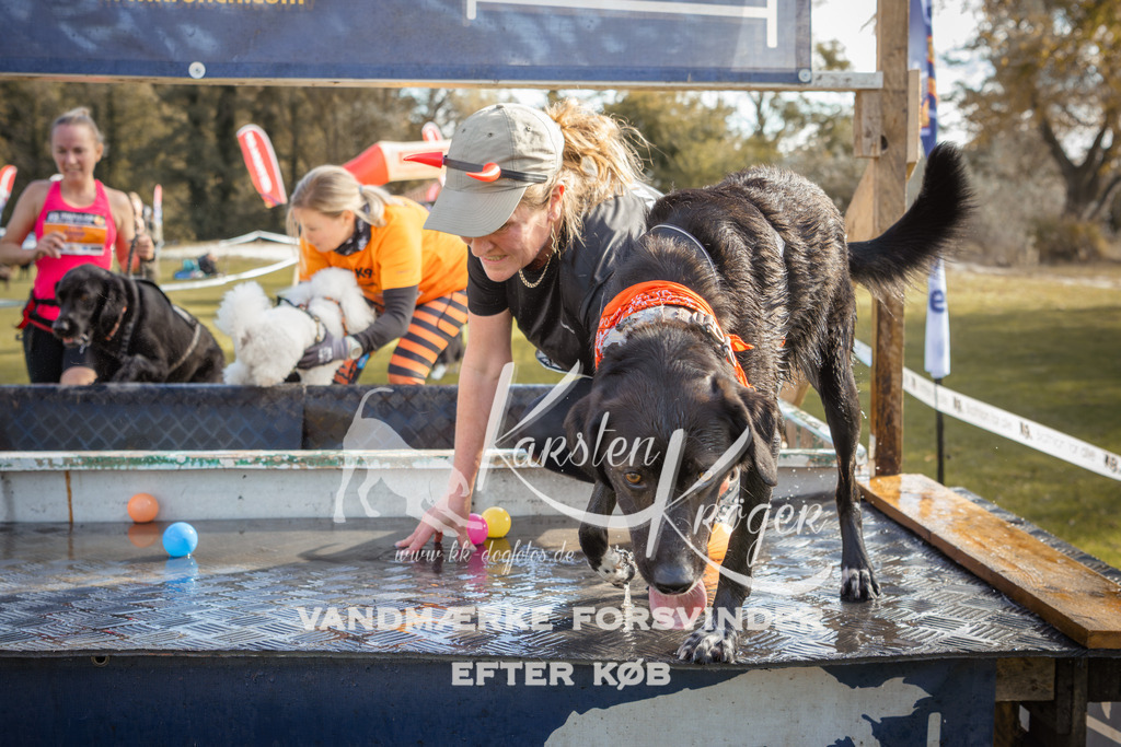 1307_ZZ99227-2 | kk-dogfotos