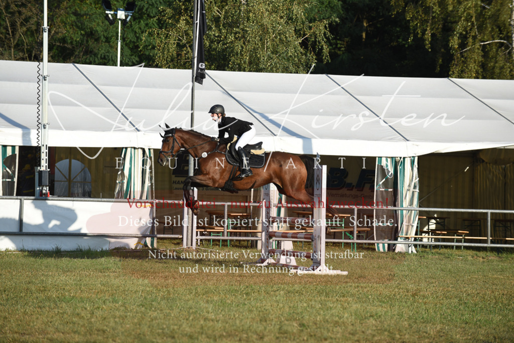 DSC_4841 | Pferde- und Turnierfotografie in Westsachsen. Pferdeportraits, Auftragszeichnungen und intuitive Kunst.