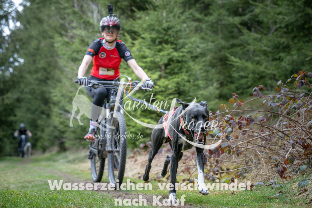 1311_ZZ93905 | kk-dogfotos