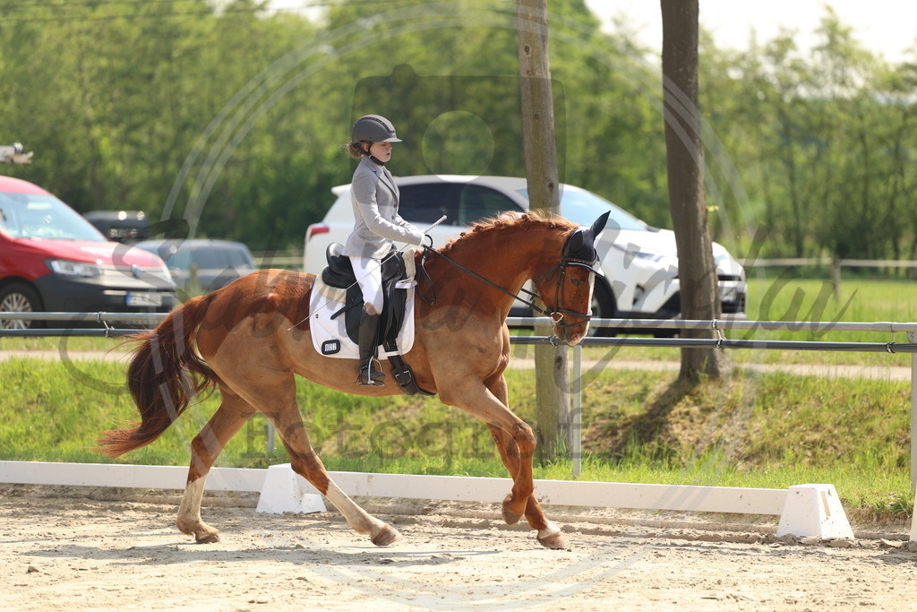 994A7130 | sabrinanicolaifotografie - Realisiert mit Pictrs.com