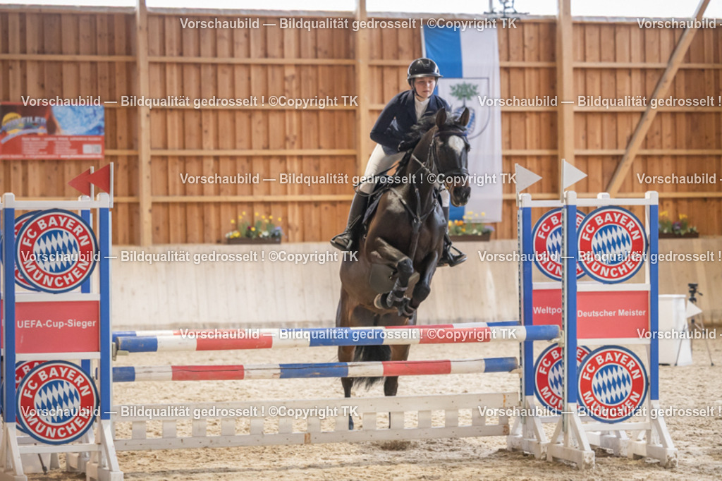 _D5A8093 | Emotionale Pferde- & People-Fotografie rund um Heidelberg, Leimen & Umgebung. Natürliche Fotos von Pferd, Mensch & Familie. Jetzt Termin sichern!