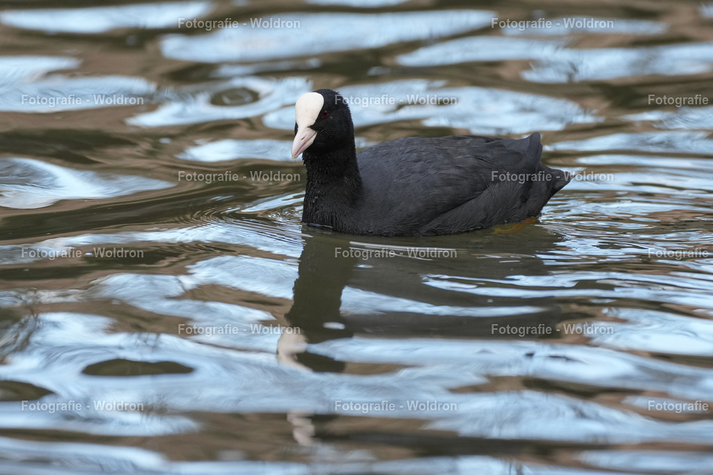 2023028. Nürnberg-32 | Fotografie Woldron
