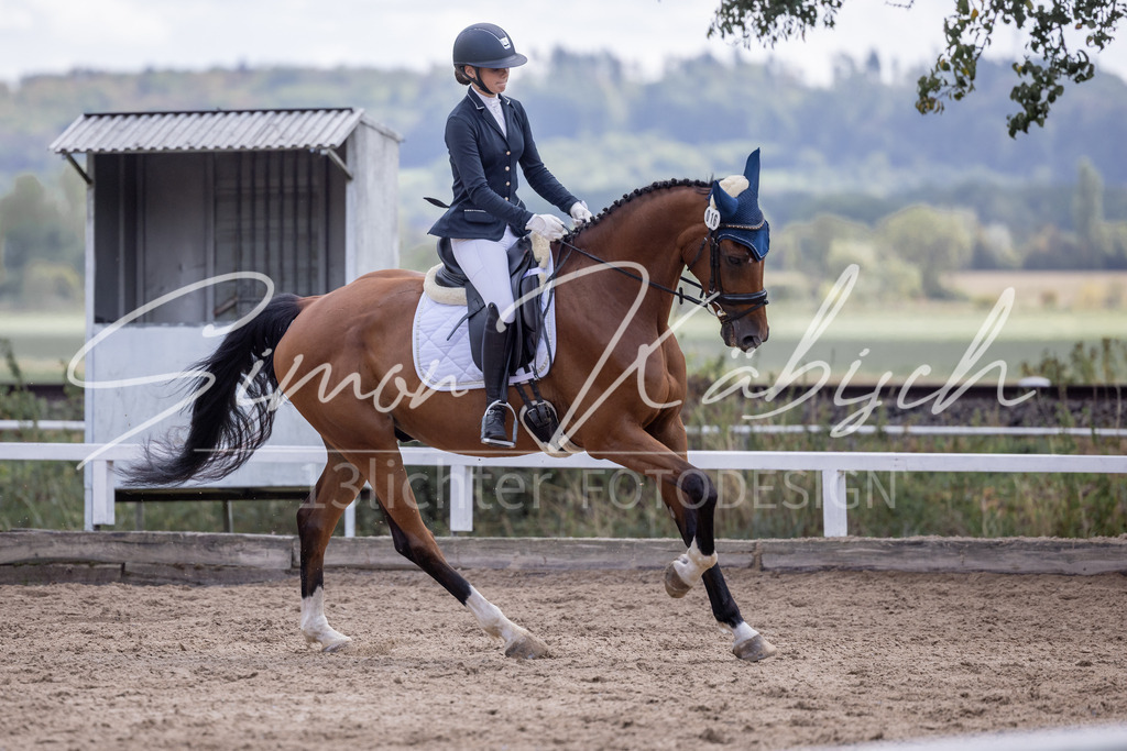 20260905-_3LI7858 | Tierfotografie Pferde, Hunde, Katzen, Haustiere.
Turnierfotografie Reitturniere, Reiten, Springreiten, Dressur in Hanau, dem Main-Kinzig-Kreis und dem Rhein-Main- Gebiet um Frankfurt