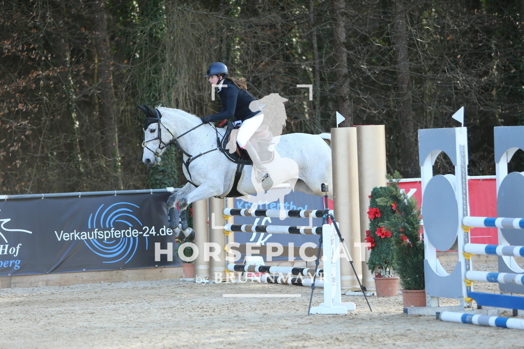 DL2Q4350 | Willkommen bei Brunnmayr - Design & Fotografie – Ihrem Spezialisten für Reitturniere und Pferdeveranstaltungen in Oberösterreich, Salzburg und Bayern! Seit über 17 Jahren sind wir leidenschaftlich dabei.