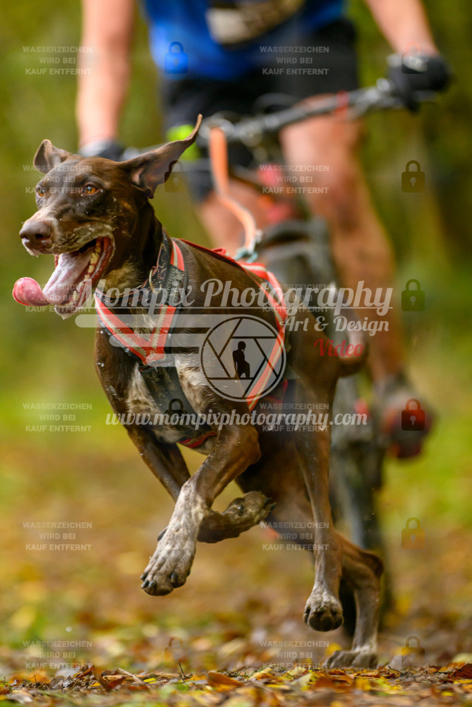 MompixPhotography_20TSB_E1_Doppel-15 | PayLife