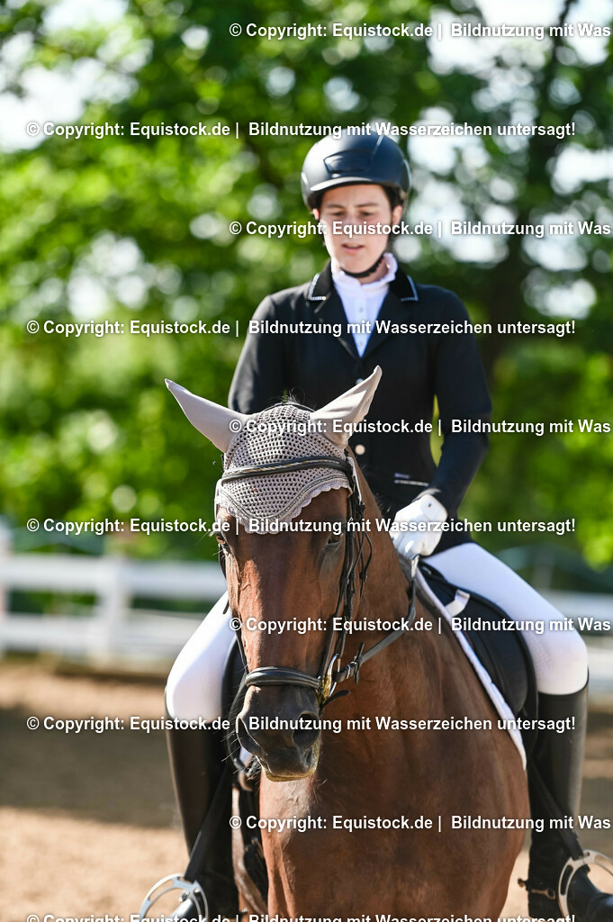 20230716_04_Dressurreiterprüfung Kl.A_0109 | equistock