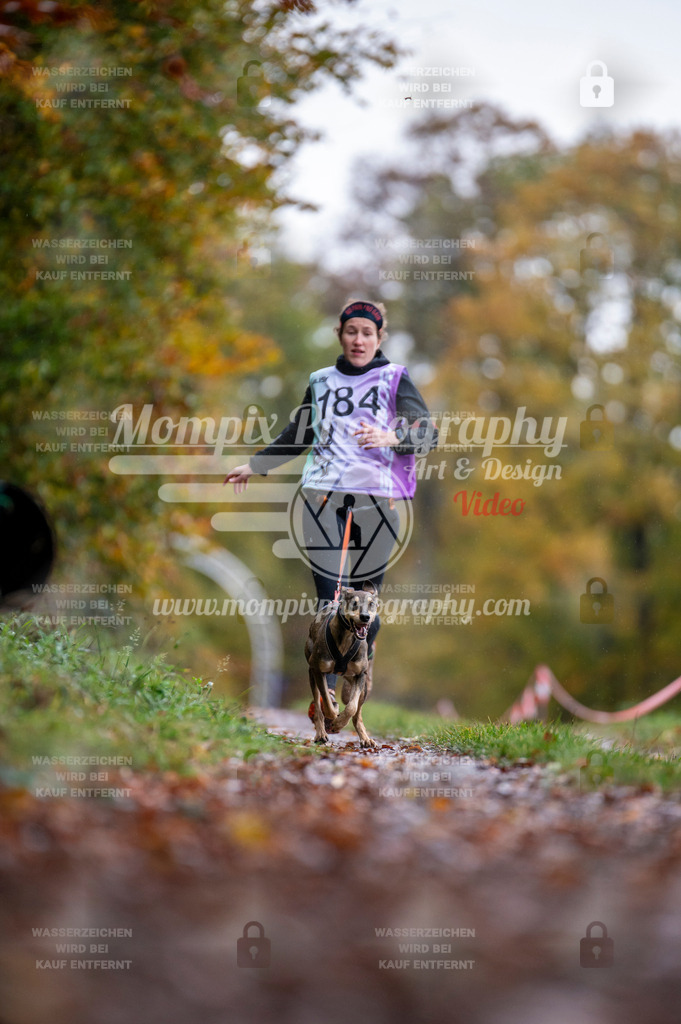 DBT_DAKM_SA_4_11_2023_Canicross-24 | PayLife