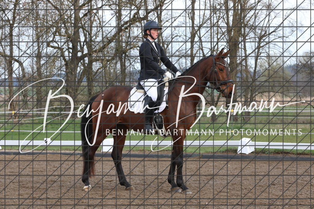 AZ2A6435 | Benjamin Bartmann Photomoments