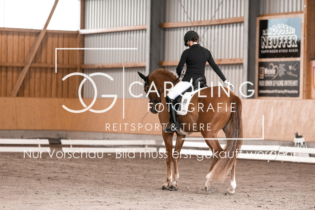 DSC_0918 | Turnierfotografin Carolin Gieschke, Turnierfotografie Carolin G Fotografie, Turnierfotos Kirchheim/Teck, Esslingen, Stuttgart, Bodenseekreis