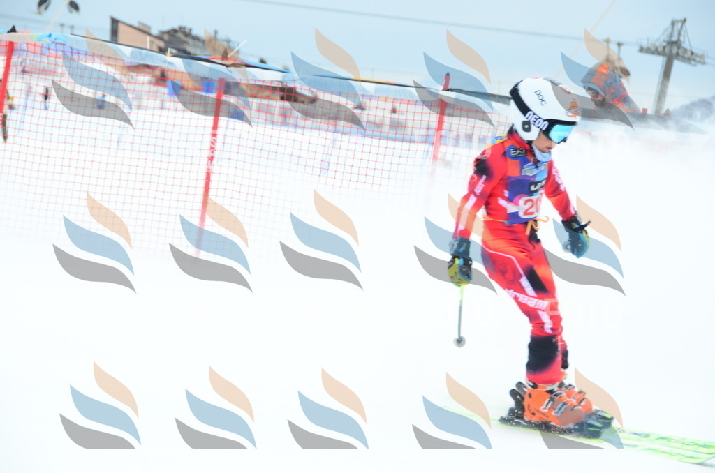 DSC_1845 | holidayphoto