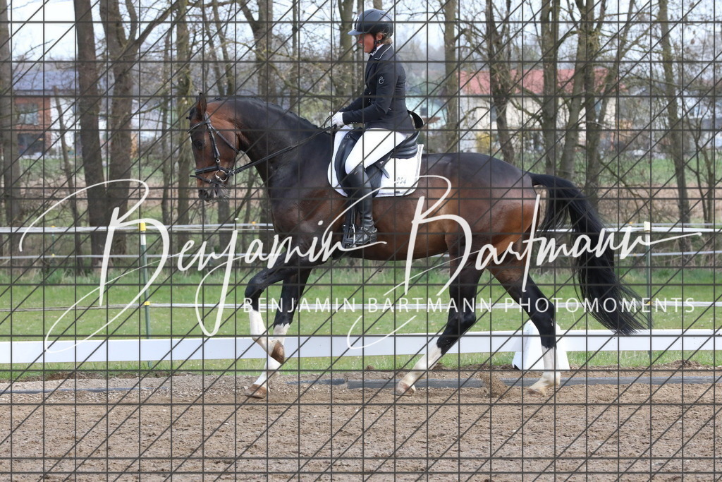 AZ2A6558 | Benjamin Bartmann Photomoments