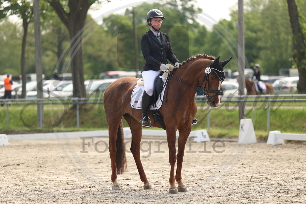 994A6406 | sabrinanicolaifotografie - Realisiert mit Pictrs.com