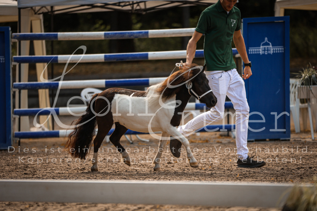 01.So00092 | Leoni Ertmer Photography - Realisiert mit Pictrs.com