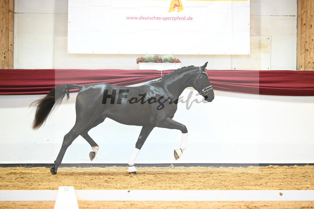 Kat-Nr. 65 v. De Niro Gold_Rohrmoser_66222267 | hf-fotografie - Realisiert mit Pictrs.com