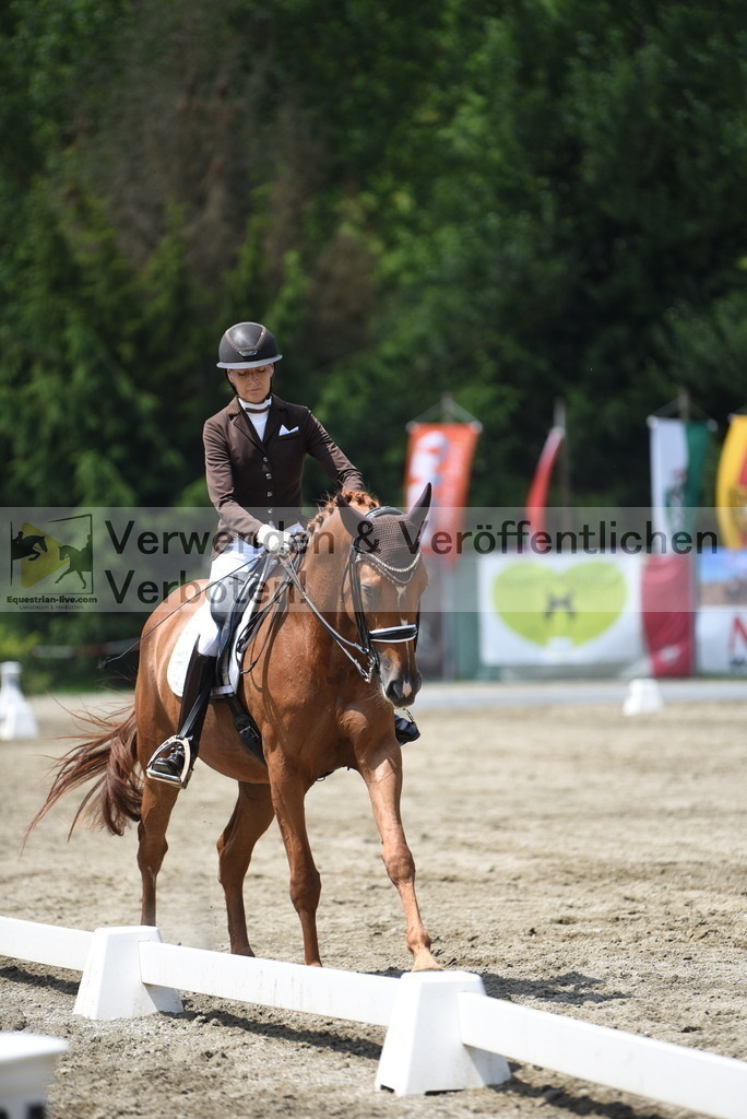 DSC_9269 | equestrian-live-com