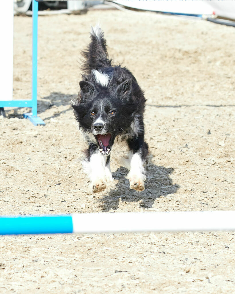 580B0105 | Peter Fridle Fotografie - Realisiert mit Pictrs.com