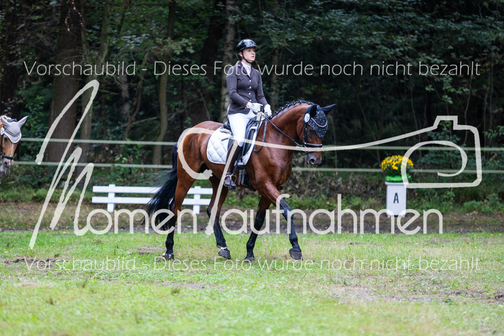 HB-A-Dressur-022 | MomenTaufnahmen Pferdesportfotos