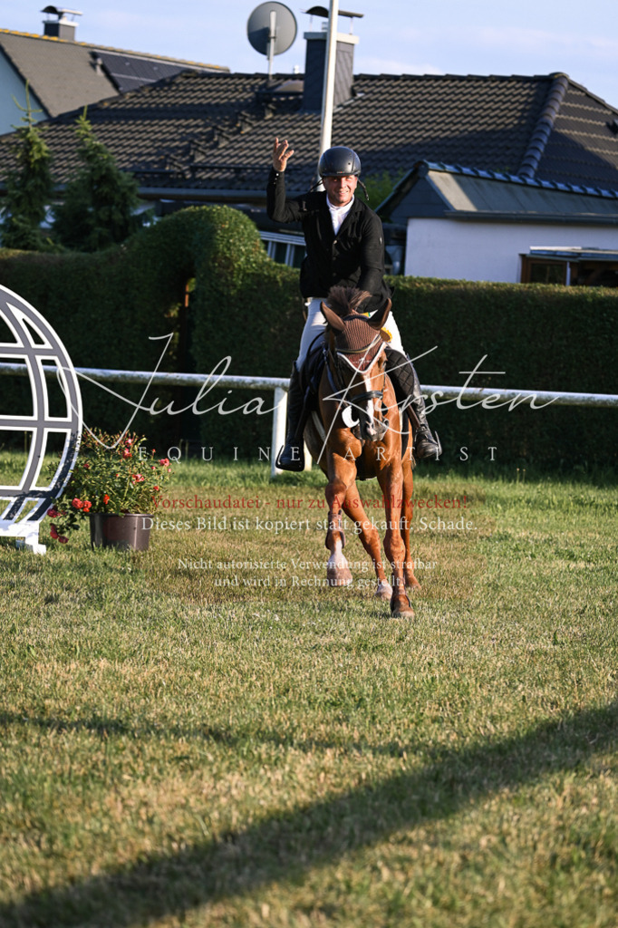 DSC_1978 | Pferde- und Turnierfotografie in Westsachsen. Pferdeportraits, Auftragszeichnungen und intuitive Kunst.