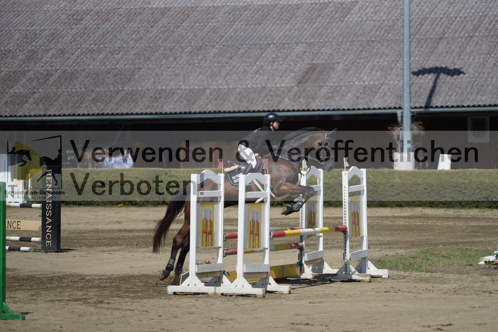 DSC02919 | equestrian-live-com