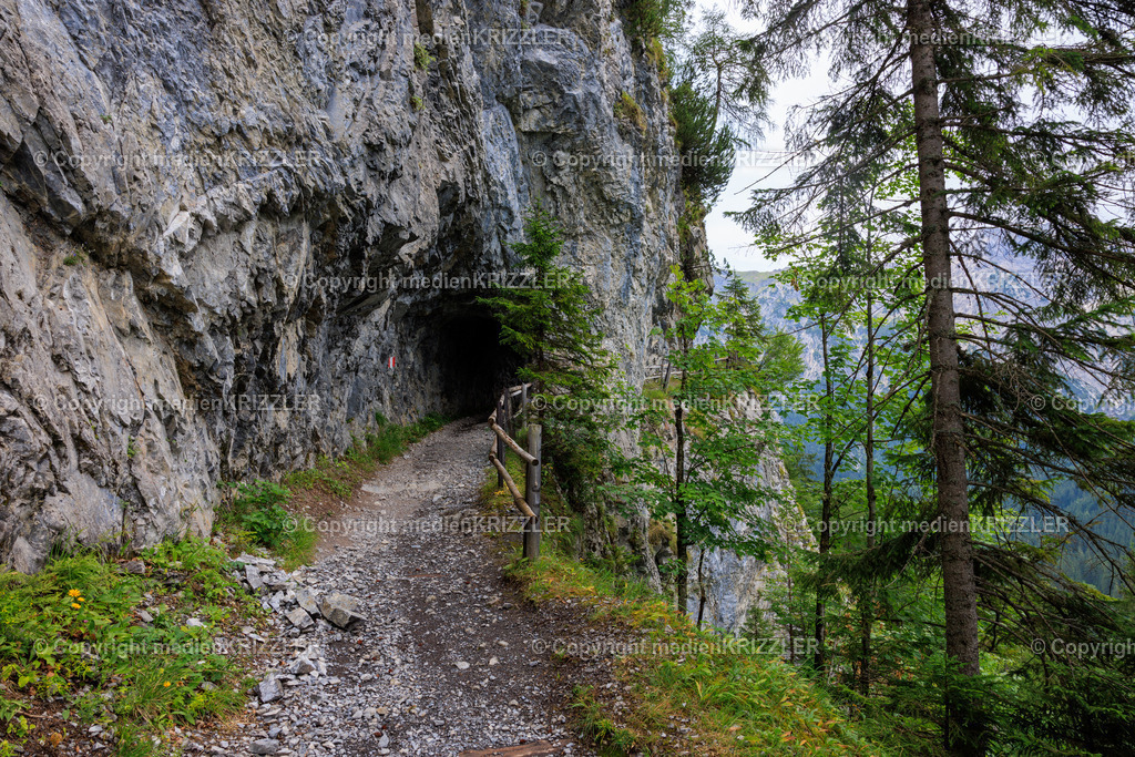 _J3A8138 | medienkrizzler - Realisiert mit Pictrs.com