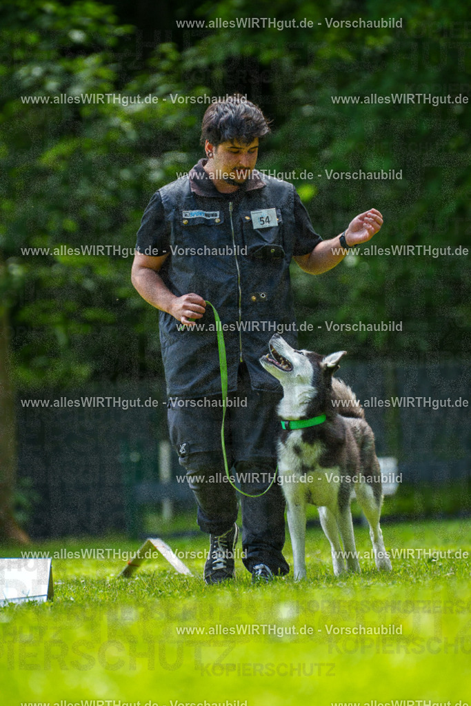 @allesWIRTHgut_Tierfotografie - www.allesWIRTHgut.de - 7R500911 | Professionelle Tierfotografie in Mönchengladbach von Daniel Wirth (allesWIRTHgut). Liebevolle & natürliche Bilder von Hunden & Katzen für unvergessliche Erinnerungen.