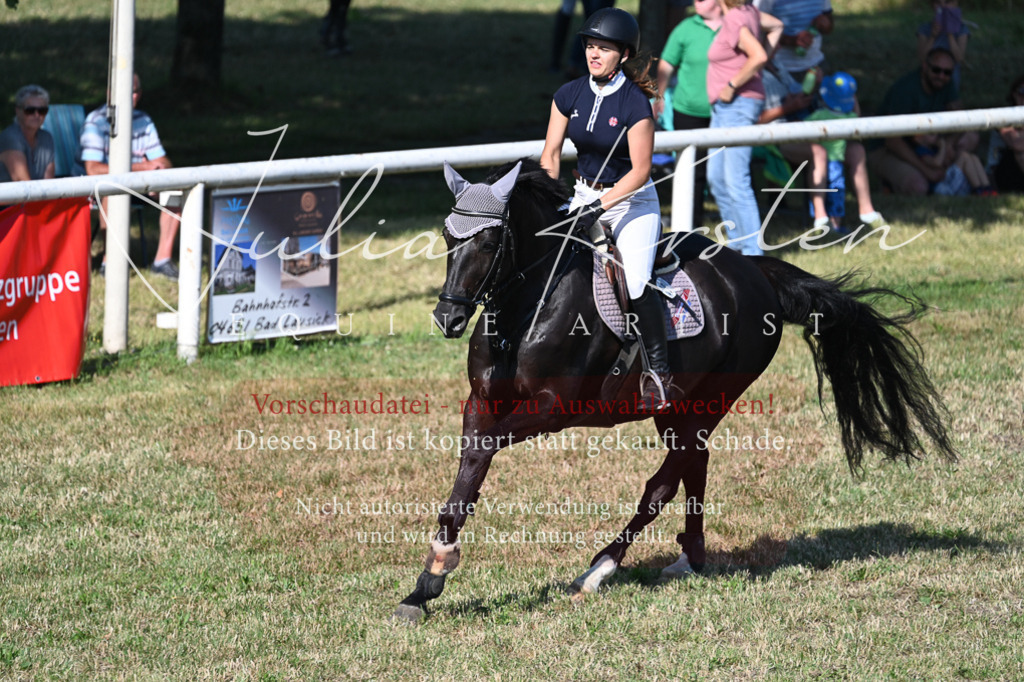 DSC_2484 | Pferde- und Turnierfotografie in Westsachsen. Pferdeportraits, Auftragszeichnungen und intuitive Kunst.