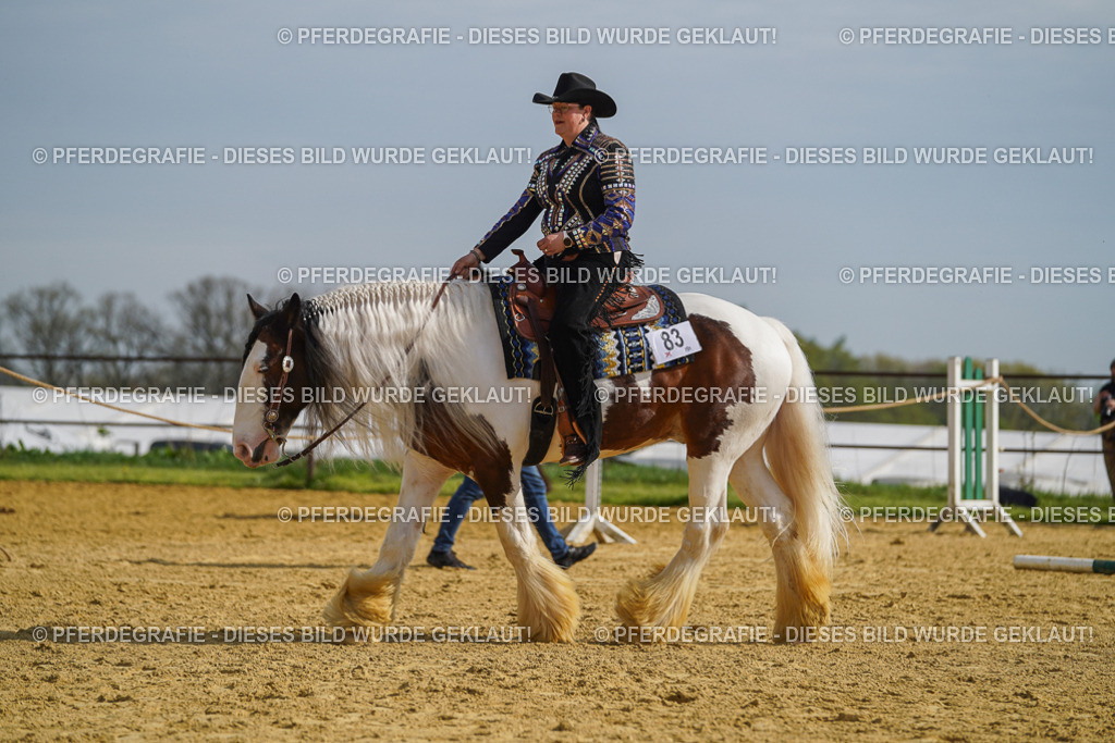 DSC01676 | Pferdegrafie