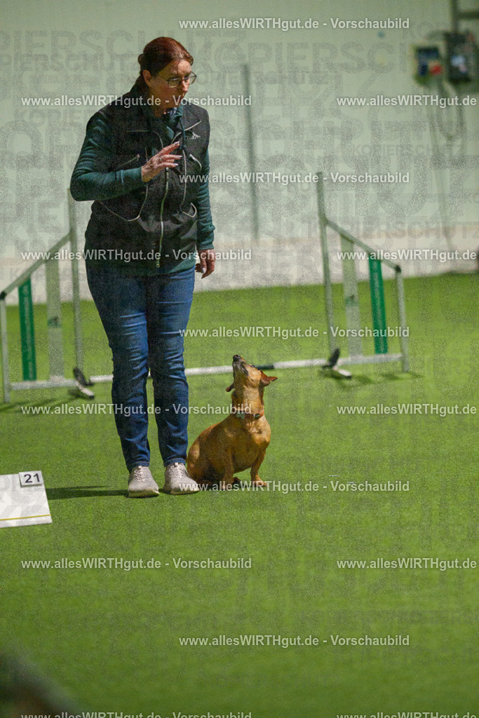 7R508658 | Professionelle Tierfotografie in Mönchengladbach von Daniel Wirth (allesWIRTHgut). Liebevolle & natürliche Bilder von Hunden & Katzen für unvergessliche Erinnerungen.