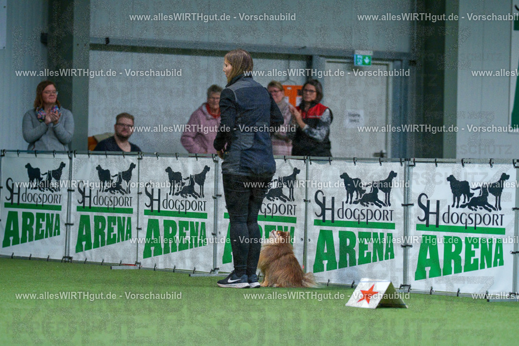 7R501844 | Professionelle Tierfotografie in Mönchengladbach von Daniel Wirth (allesWIRTHgut). Liebevolle & natürliche Bilder von Hunden & Katzen für unvergessliche Erinnerungen.