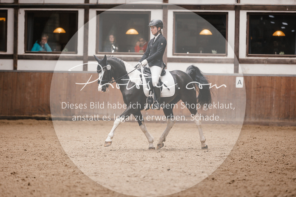 3I6A7386 | Stimmungsvolle Portraits und Reitsportfotografie im Ruhrgebiet und im Münsterland.

Pferdefotografie, Hundefotografie, Tierfotografie, Reportagen, Portraits von Tier und Mensch, Turnierfotografie in Bochum, Recklinghausen, Marl, Haltern am See, Dülmen.. - Realisiert mit Pictrs.com