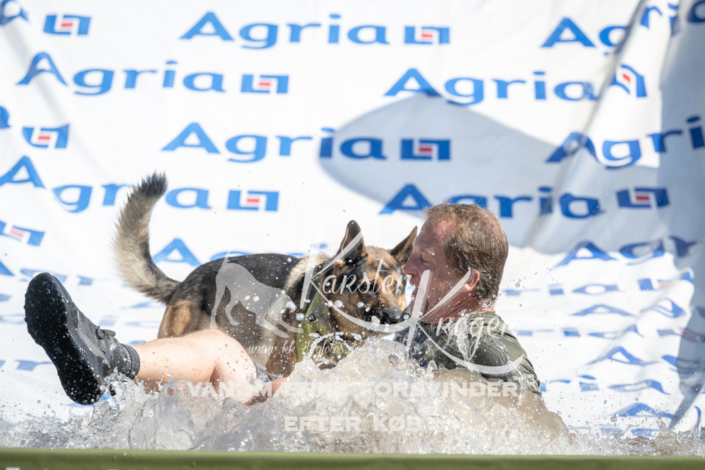 1141_ZZ93384 | kk-dogfotos