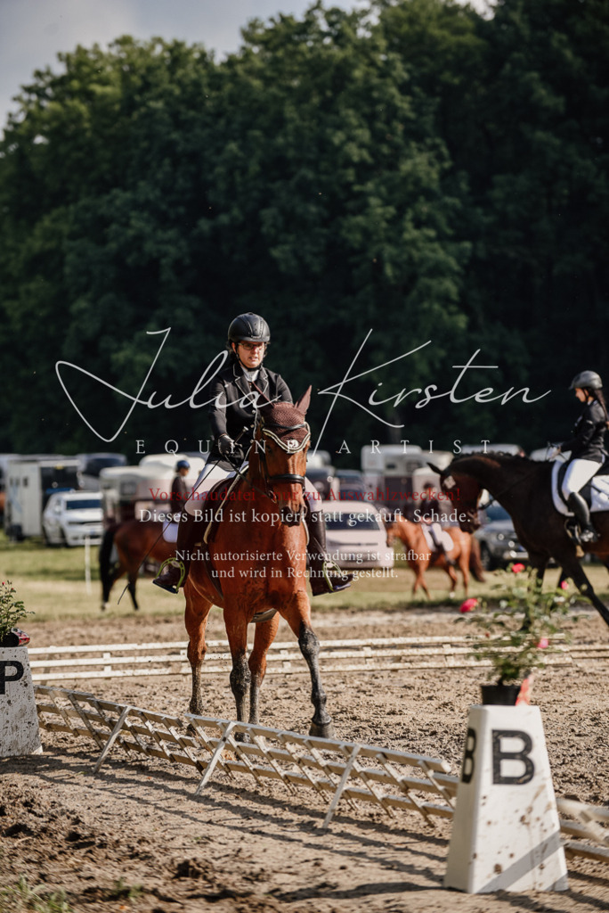 DSC_8525 | Pferde- und Turnierfotografie in Westsachsen. Pferdeportraits, Auftragszeichnungen und intuitive Kunst.