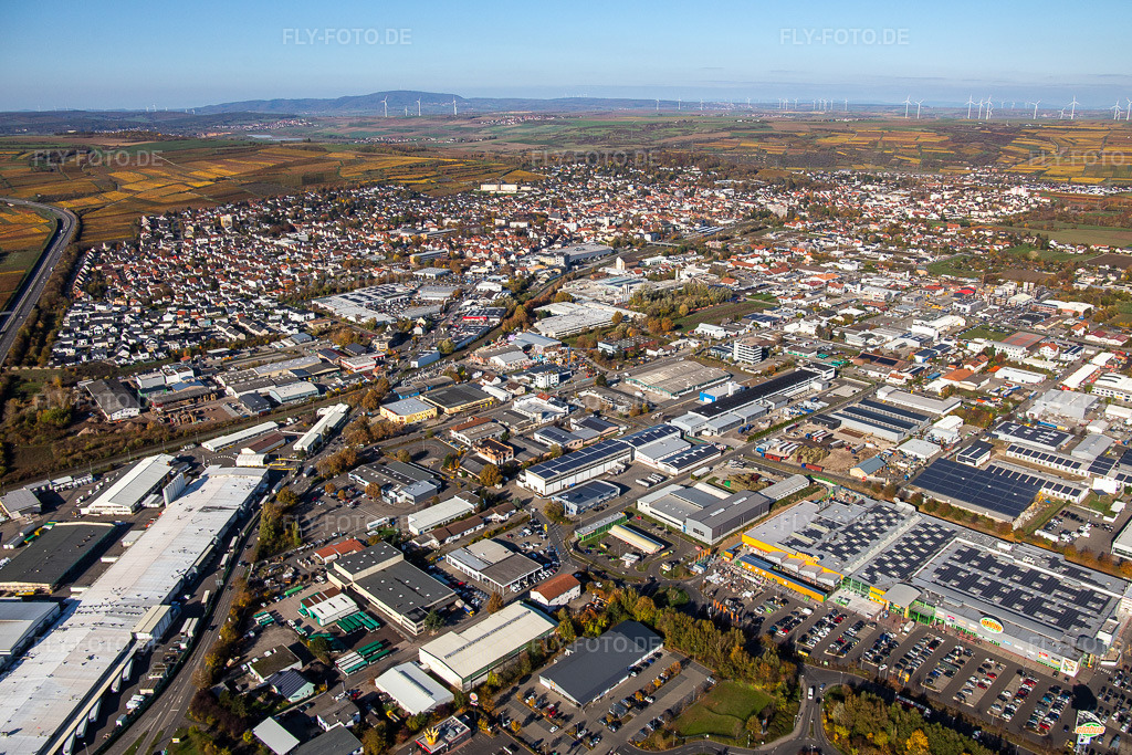 Luftbild: Werksgelände Aafes Europa in Grünstadt im Bundesland Rheinland-Pfalz in Deutschland. Foto: IMG_123545.jpg vom 31.10.2020 durch Werner Riehm/FLY-FOTO.de