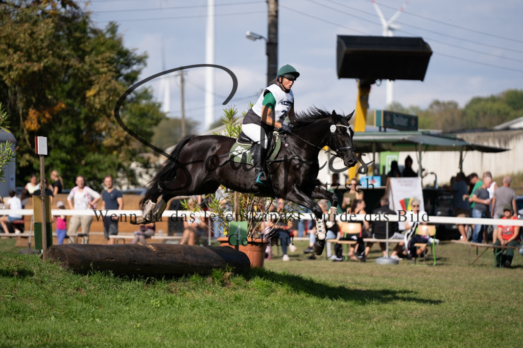 A7V03414 | Pferdefotograf