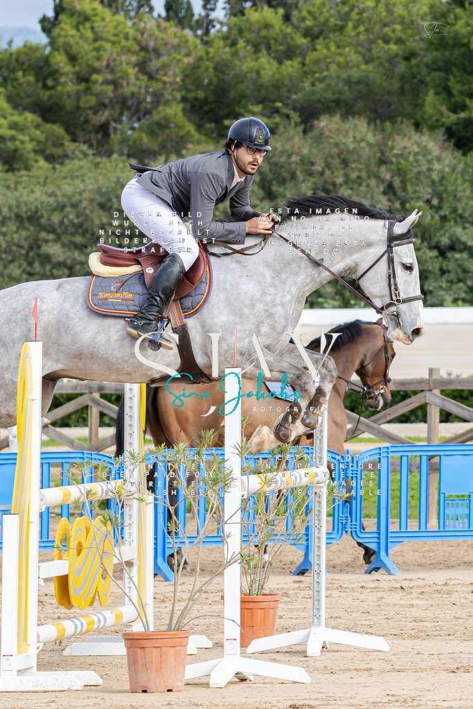 IMG_2562 | s-jay-photography - Realisiert mit Pictrs.com