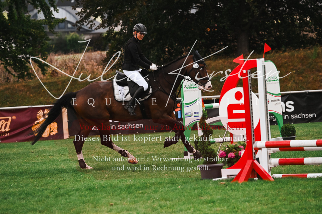 DSC_6149 | Pferde- und Turnierfotografie in Westsachsen. Pferdeportraits, Auftragszeichnungen und intuitive Kunst.