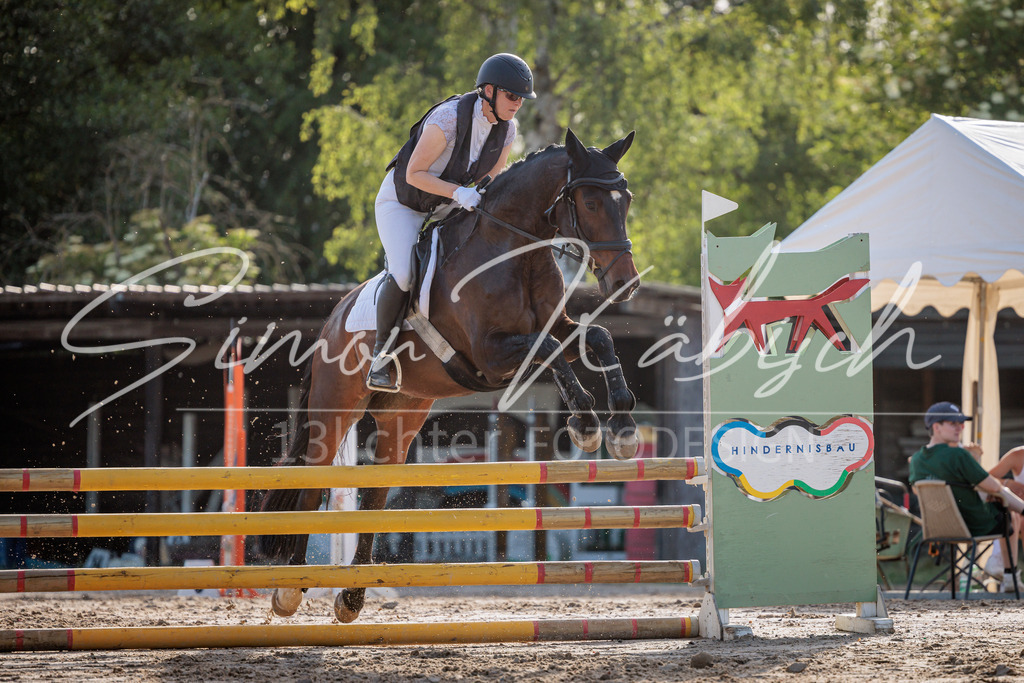 20260529-_3LI0715 | Tierfotografie Pferde, Hunde, Katzen, Haustiere.
Turnierfotografie Reitturniere, Reiten, Springreiten, Dressur in Hanau, dem Main-Kinzig-Kreis und dem Rhein-Main- Gebiet um Frankfurt