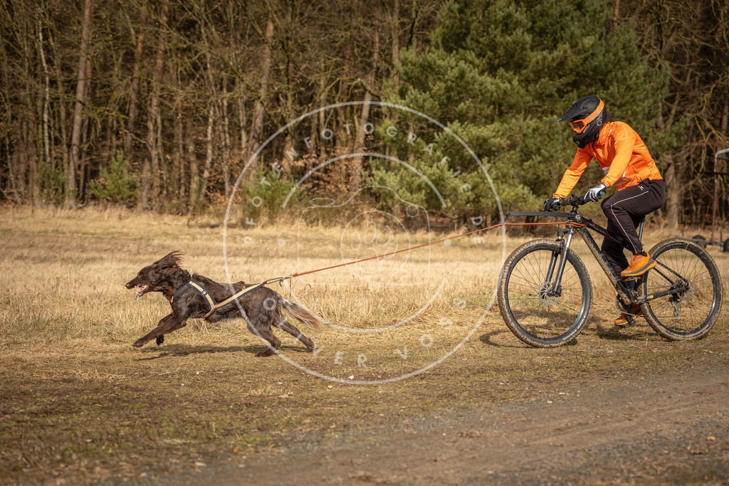 DV3A4469 | Hundefotografie, Tierfotograf, Pfotenfotografie, Fotoshooting Hund, Hunde Portrait, Hundesport, Hundeportraits, Heideshooting, Hunde, Sportfotograf, Hundefotograf, Turnierhundsport, THS,  - Realisiert mit Pictrs.com