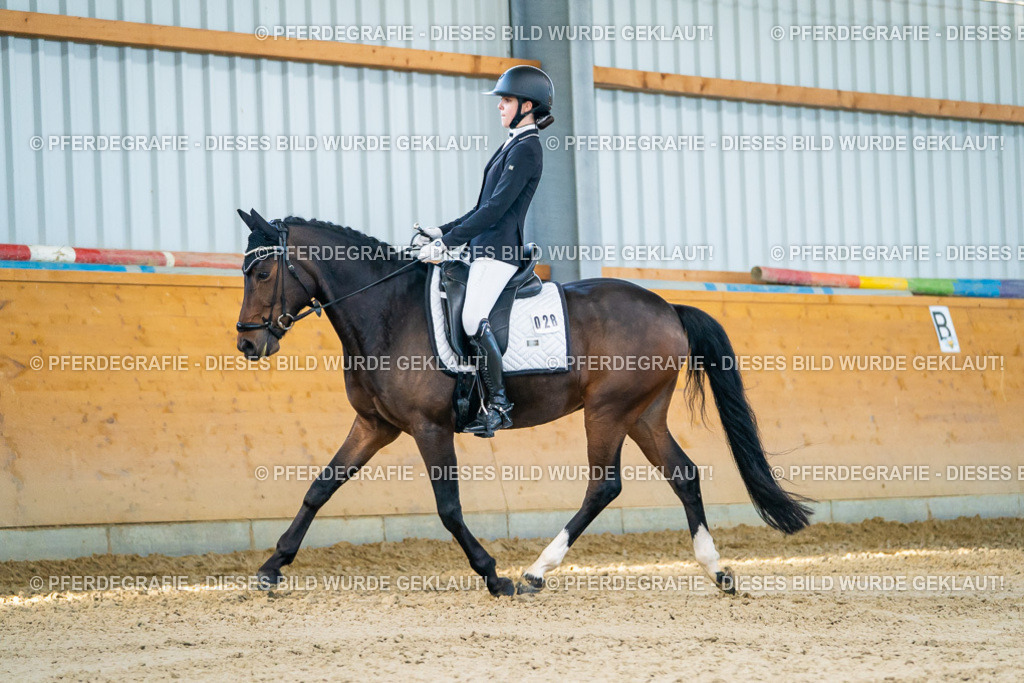 DSC06113 | Pferdegrafie