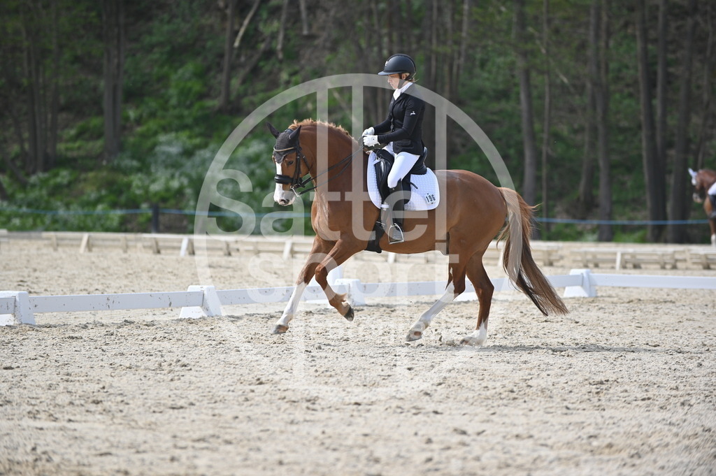 DSC_4627 | sattelsport - Realisiert mit Pictrs.com