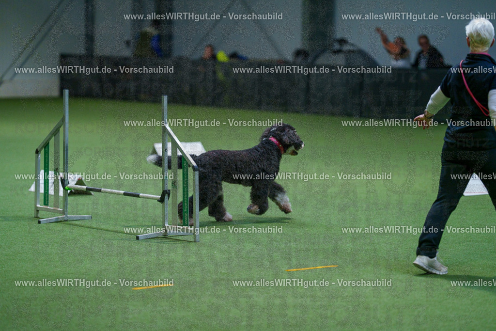 7R502671 | Professionelle Tierfotografie in Mönchengladbach von Daniel Wirth (allesWIRTHgut). Liebevolle & natürliche Bilder von Hunden & Katzen für unvergessliche Erinnerungen.