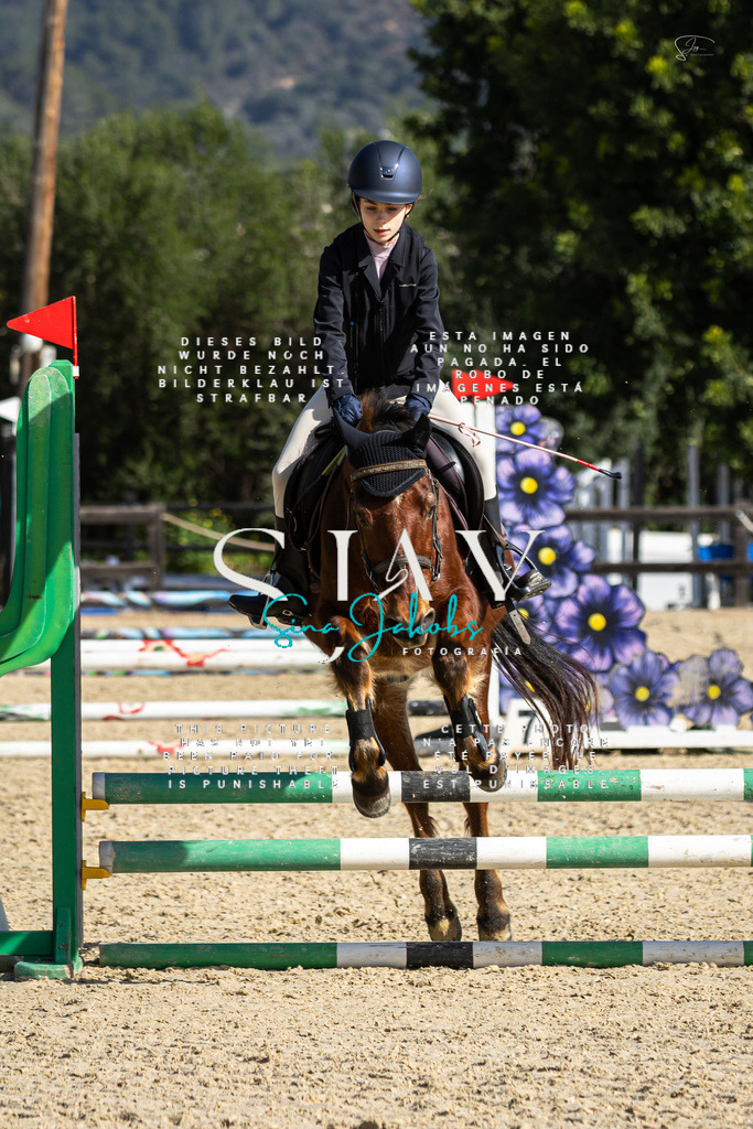 IMG_5978 | s-jay-photography - Realisiert mit Pictrs.com