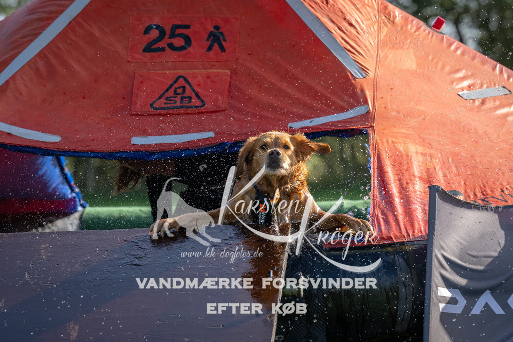 1148-92272 | kk-dogfotos