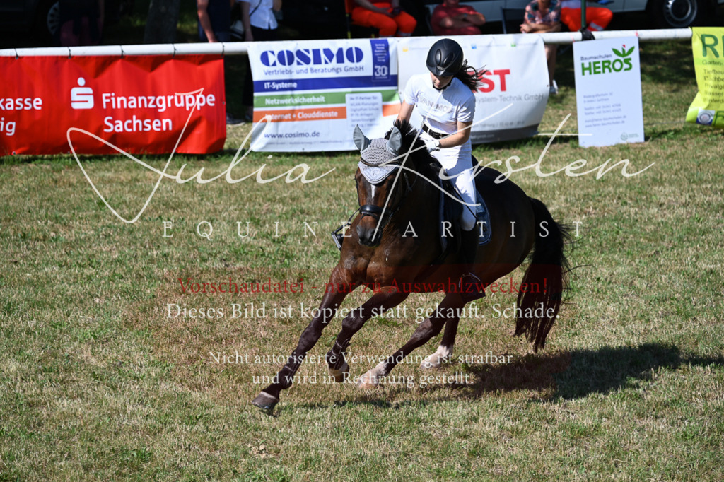 DSC_2071 | Pferde- und Turnierfotografie in Westsachsen. Pferdeportraits, Auftragszeichnungen und intuitive Kunst.