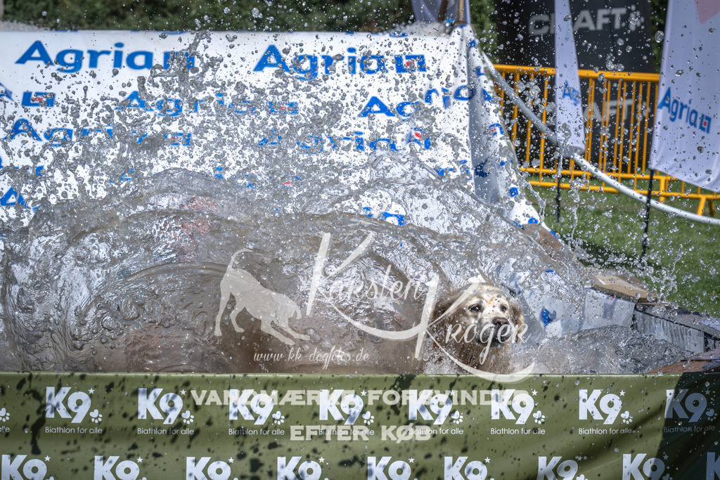 1341_ZZ90978 | kk-dogfotos